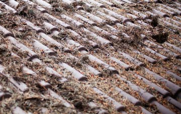 Trecott roof cleaning companies